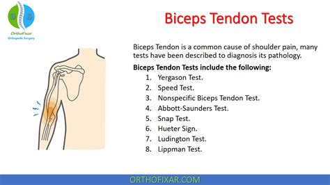 bicep muscle tear test|shoulder test for biceps tendonitis.